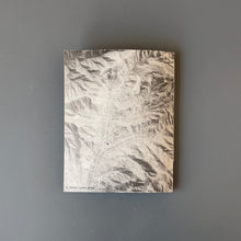 Load image into Gallery viewer, Buen Gobierno by Thomas Locke Hobbs
